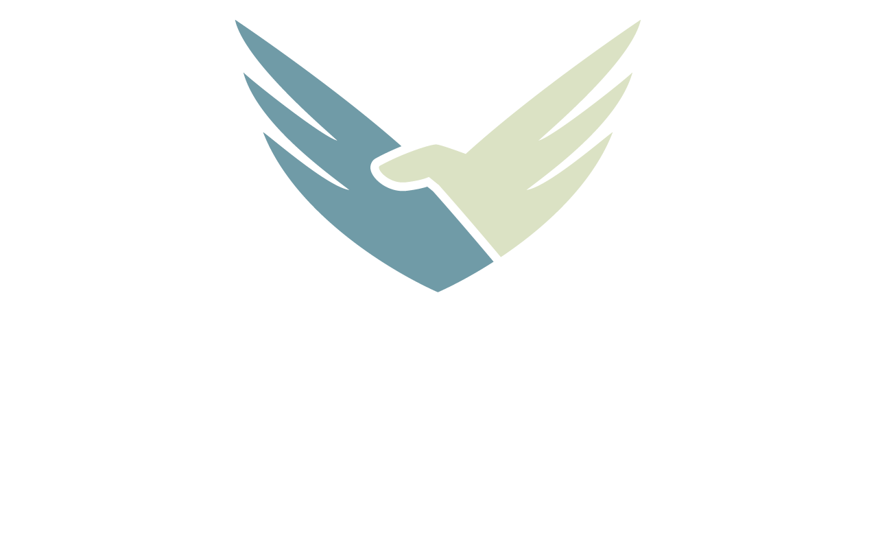 The Aquilae Performance Model - Aquilae